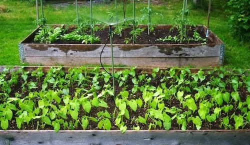 Image of Expert Garden Bed Landscaping in Melbourne service